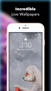 WonderWall - Live Wallpapers screenshot 0