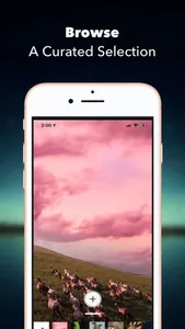 WonderWall - Live Wallpapers screenshot 3