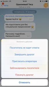 Онлайн чат для сайта screenshot 2