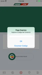 Pago Express screenshot 3