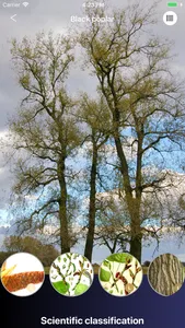 Deciduous Trees 2.0 screenshot 6