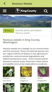 King County Connect screenshot 3