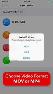 Video 2 WebM Cross Converter screenshot 9