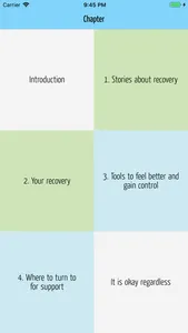 Recovery Guide screenshot 1