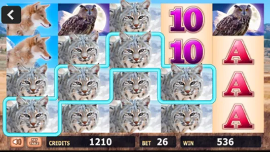 Fun Casino Slots screenshot 1