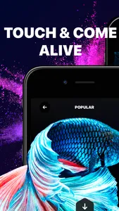 Live Wallpaper & Wallpapers HD screenshot 2