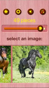 Horse Jigsaw Puzzle Games screenshot 6