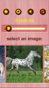 Horse Jigsaw Puzzle Games screenshot 8