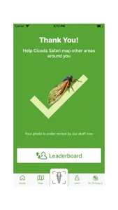 Cicada Safari screenshot 3