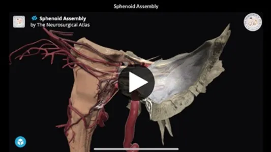 Neurosurgical Atlas screenshot 4
