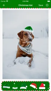 Christmas Hat - Nice Picture screenshot 1