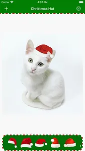 Christmas Hat - Nice Picture screenshot 6