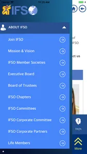 IFSO screenshot 6