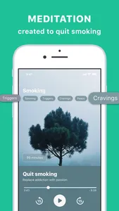 Quit Smoking Today - quitcy screenshot 2