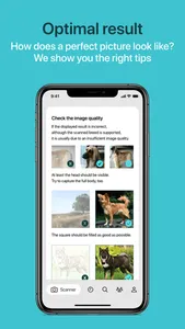 Dog Scanner screenshot 9