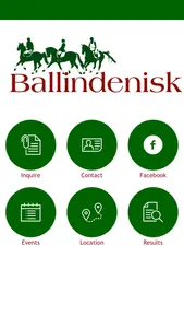 Ballindenisk screenshot 0