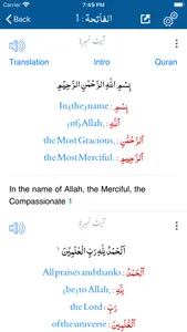 Tafheem ul Quran - in English screenshot 4