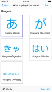 Japanese Test for beginners screenshot 1