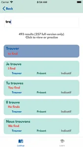 VerbSquirt French Verbs screenshot 4