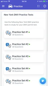 New York Driving Test screenshot 5