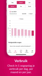 Essent VerbruiksManager+ screenshot 3