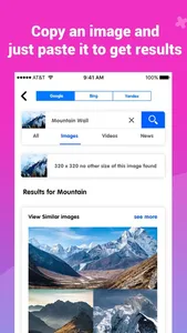 Image Recognition And Searcher screenshot 1