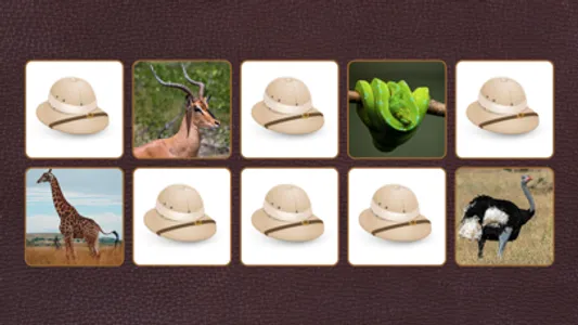 Kid Safari Concentration screenshot 1