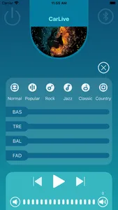 CarLive screenshot 1