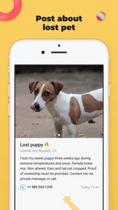 Lost Pet — find my lost pet screenshot 2