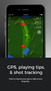 EagleRock Golf Course - MT screenshot 2