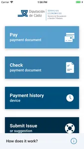 DipuPay - Diputación de Cádiz screenshot 1