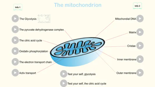 Metabolism screenshot 0