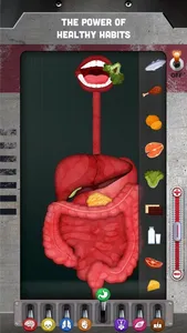 How does The Human Body Work? screenshot 2