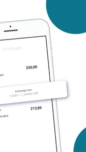 Shasta -International payments screenshot 6