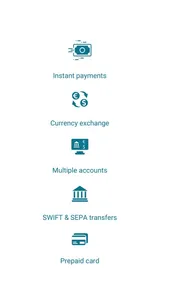 Shasta -International payments screenshot 9