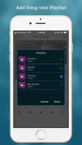 Offline Music & Video Player screenshot 3