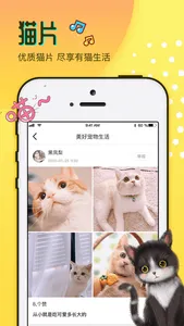 猫匿 screenshot 1
