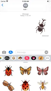 Insect Bugs Stickers screenshot 0