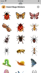 Insect Bugs Stickers screenshot 1