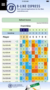 B-line Score Card screenshot 2