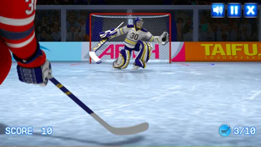 Ice Hockey shoot screenshot 2