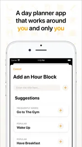 Hour Blocks: Day Planner screenshot 1