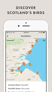 Where to Watch Birds Scotland screenshot 2