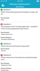 Veterinary Anatomy Quiz screenshot 3