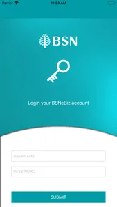 BSNeBiz Mobile- Corporate User screenshot 1