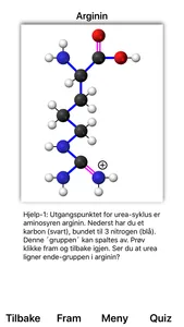 Ureasyklus screenshot 1