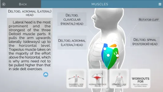 Gym of Tomorrow: Workout Coach screenshot 9