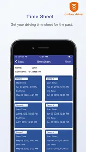 Amber Driver screenshot 7