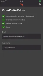 CrowdStrike Falcon screenshot 1