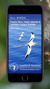 All Birds PR -> Antigua screenshot 0